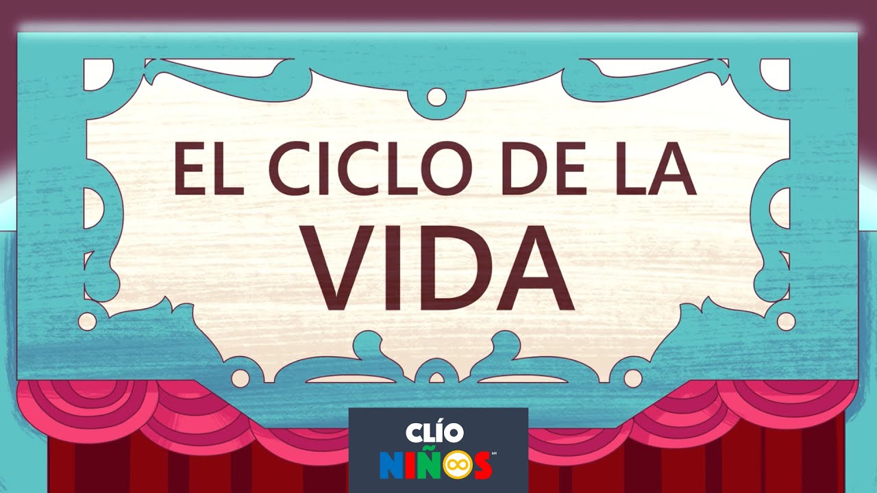 El ciclo de la vida