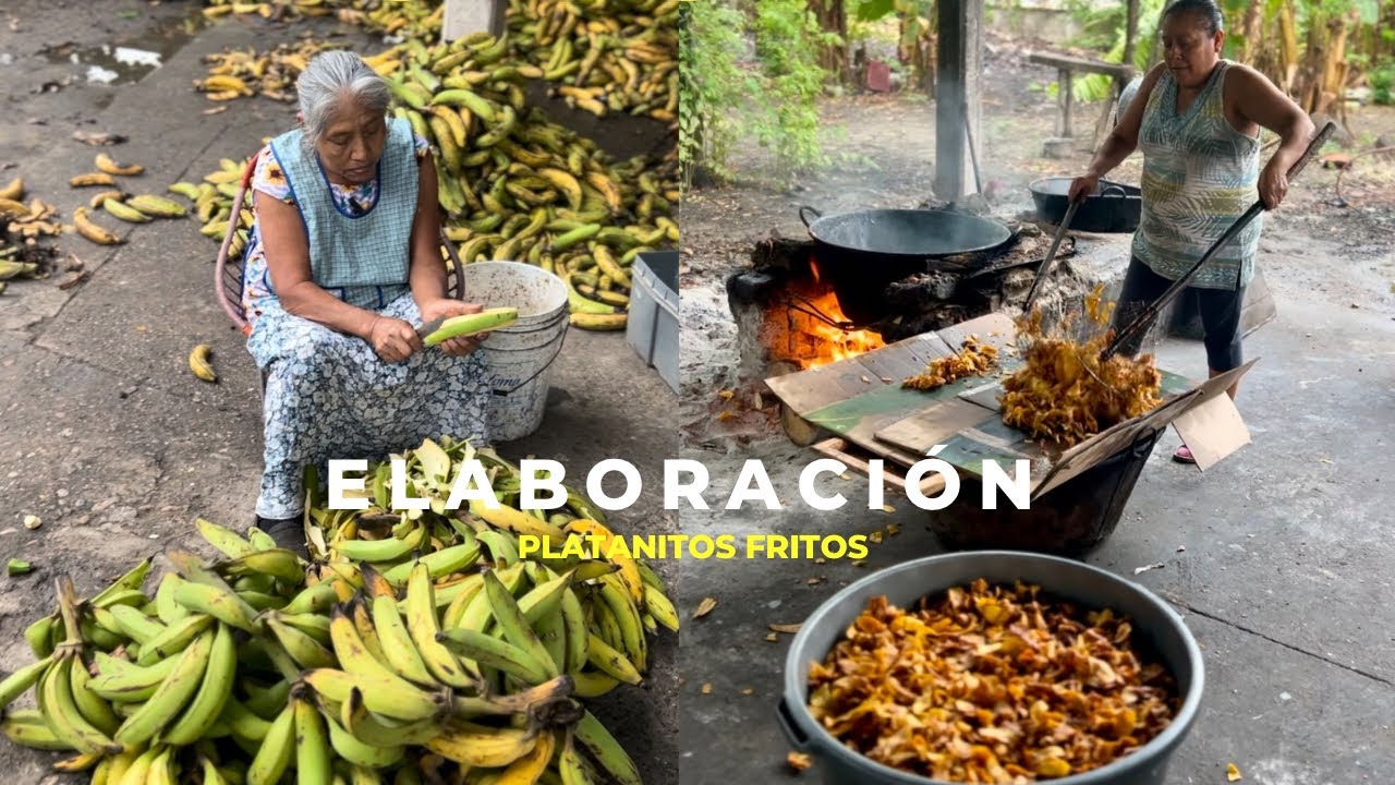 As&iacute; se hacen los DELICIOSOS PLATANITOS FRITOS de TUXTEPEC OAXACA 🍌