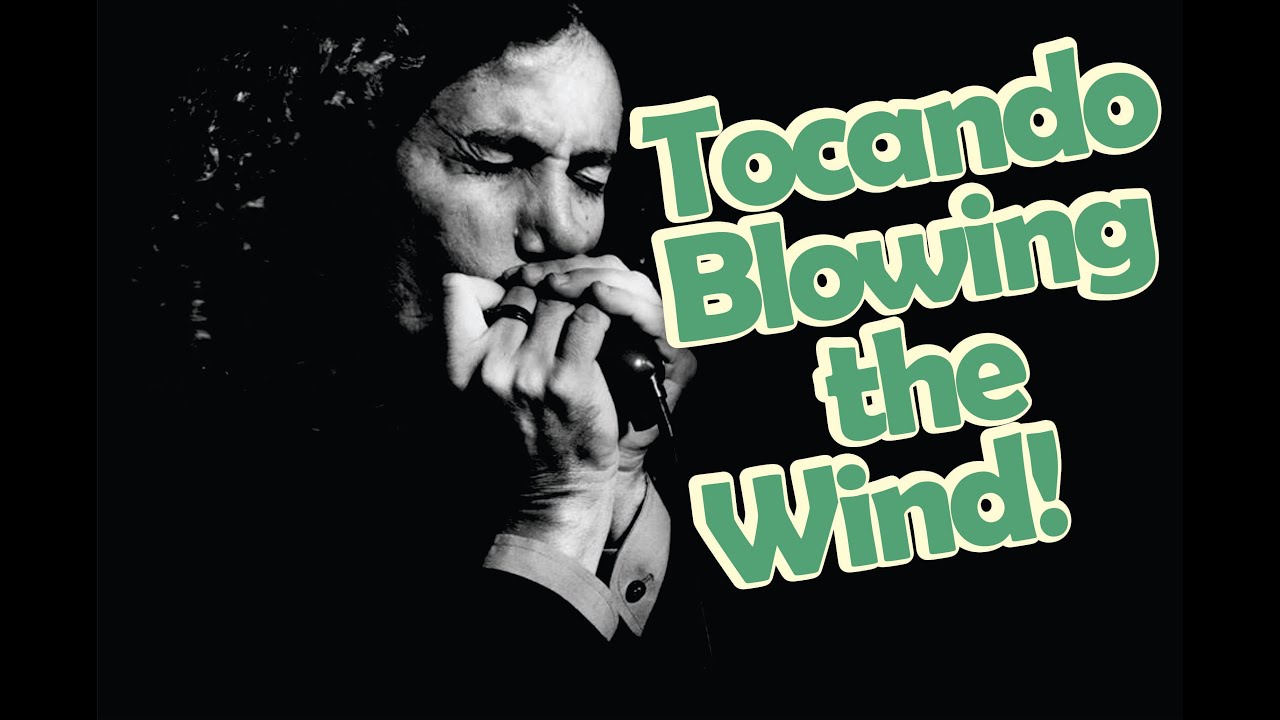 Gaita para iniciantes - Como tocar Blowing the Wind - [ Gaita de boca ]