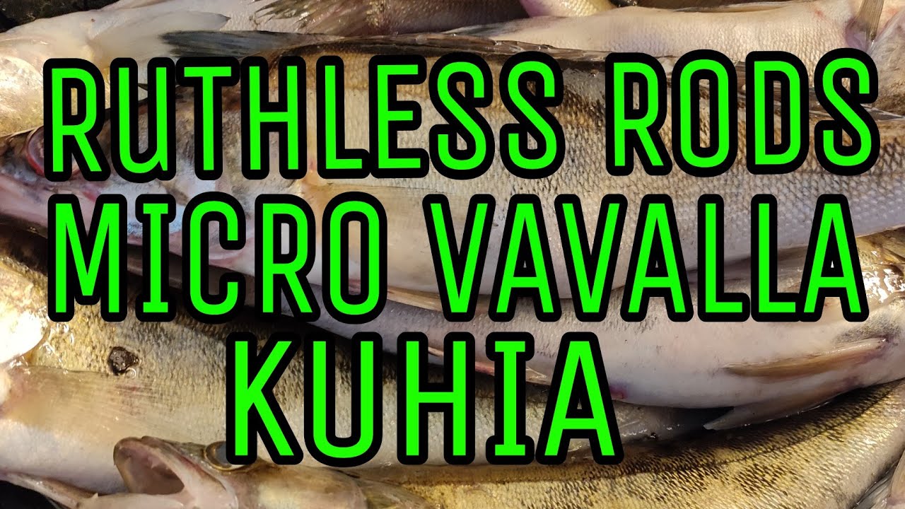 Pottukoira kalastaa- jakso 117- ruthless rods micro vavalla kuhia