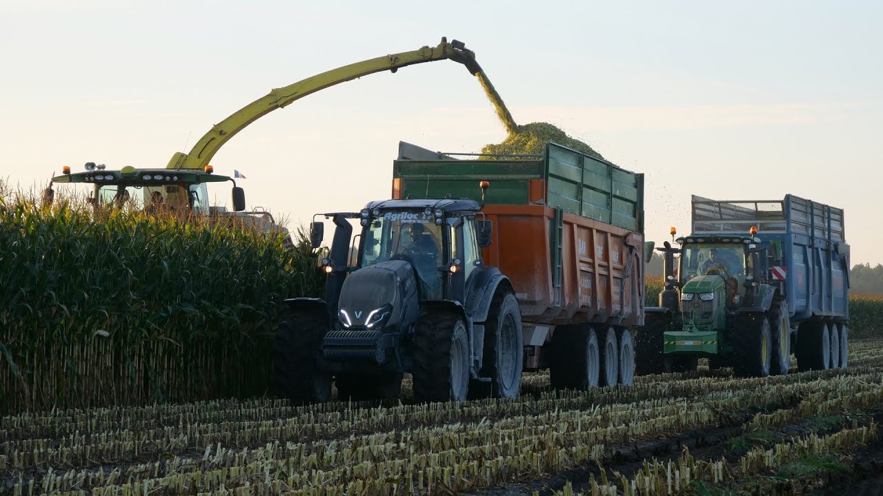 ENSILAGE au LEVER DU SOLEIL ! ETA KOZUB