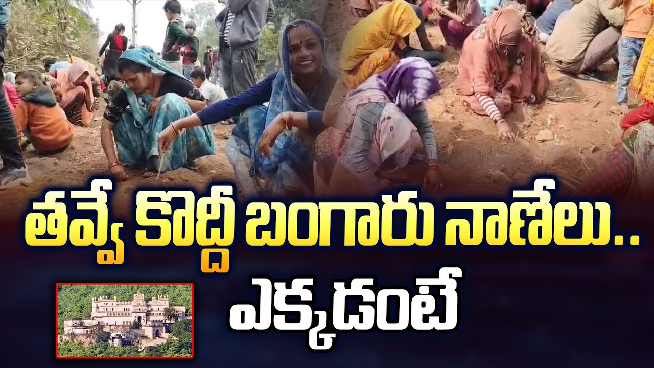 Madhya Pradesh : తవ్వే కొద్దీ బంగారు నాణేలు..ఎక్కడంటే - TV9