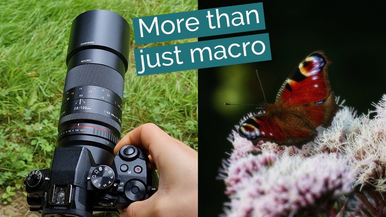 The BEST Lens I've Ever Had For Photography: Samyang 100mm F2.8 Macro (Micro Four Thirds/MFT)