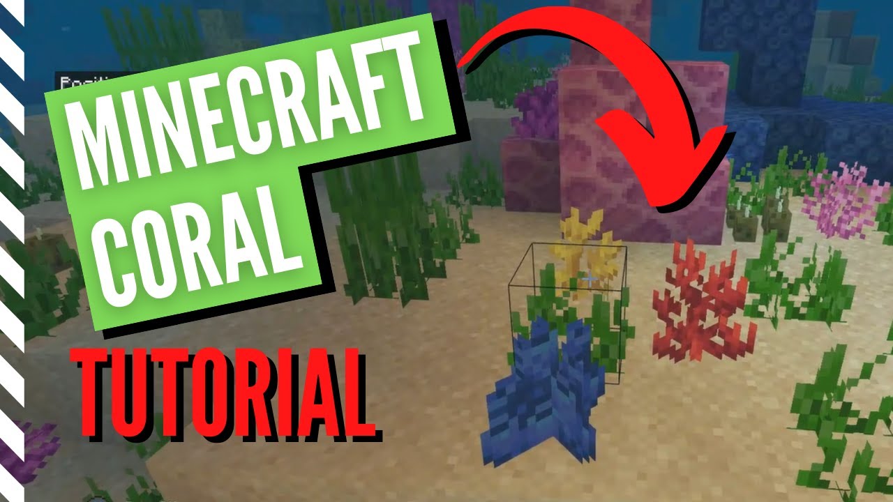 Как получить кораллы в Minecraft (руководство по добыче и использованию)