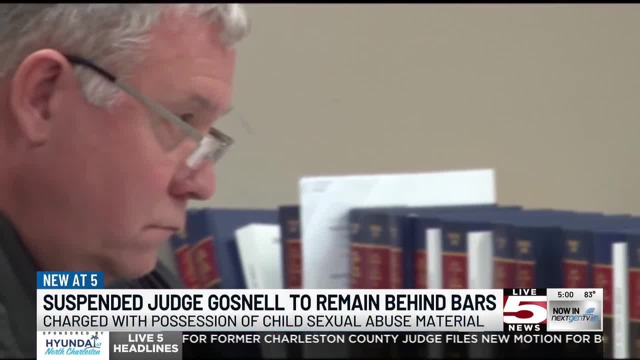 VIDEO: Charleston judge accused of having child sex abuse material to remain in jail