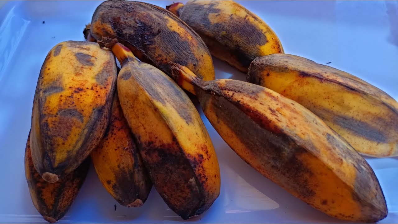 Pisang Kematangan Jangan Dibuang, Buat Ini Cukup 2 Bahan saja