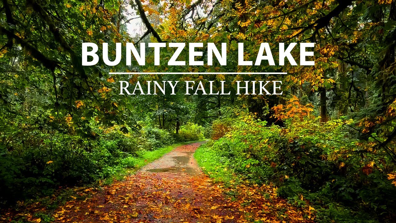Lush Autumn Hike, Gentle Rain Sounds & Amazing Fall Colors!