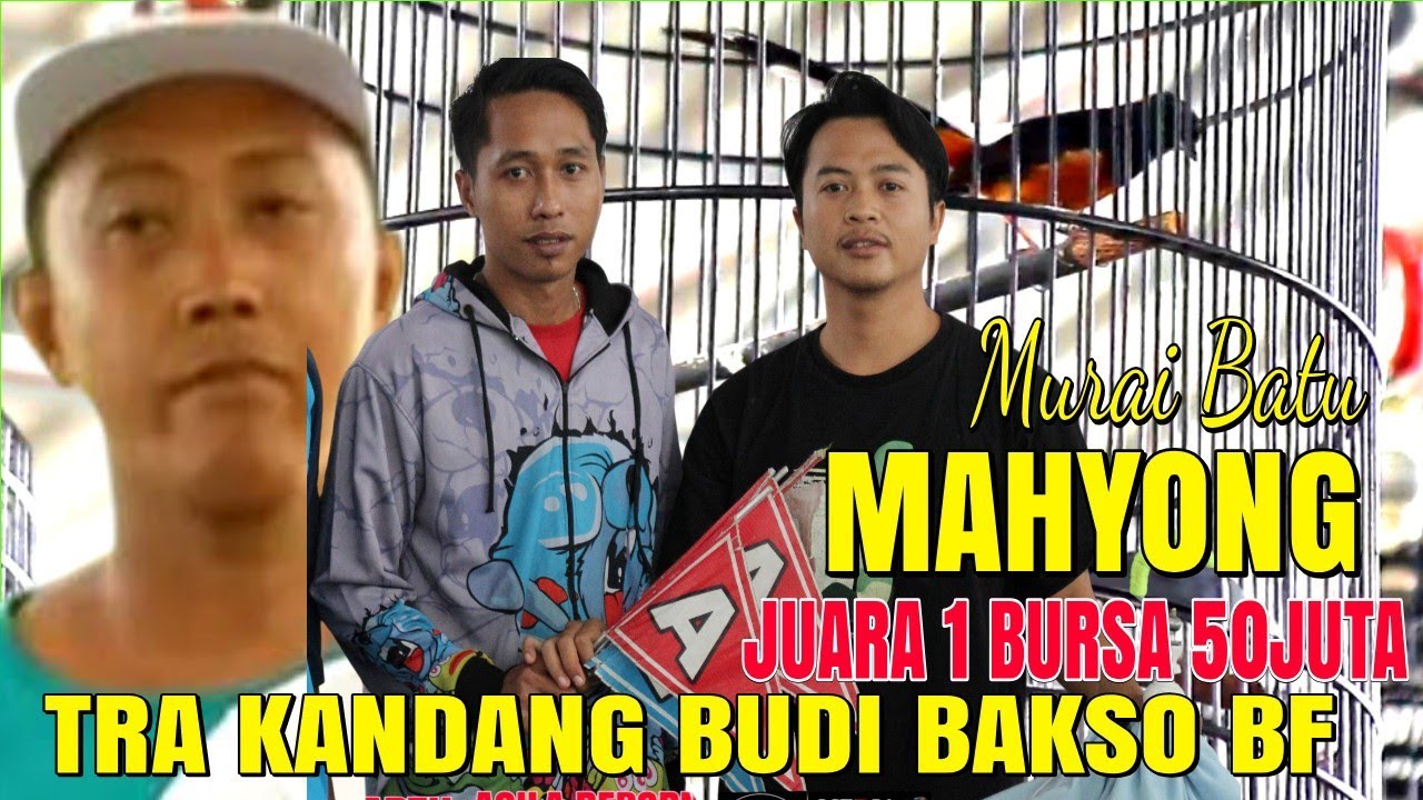 DI JUAL JUARA 1 BURSA 50 JUTA