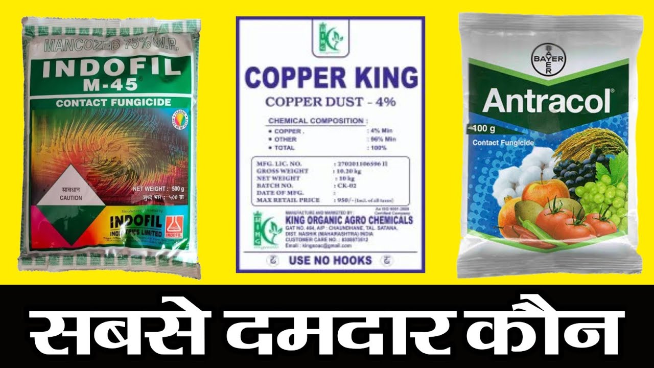 सबसे पॅावरफुल फंगीसाईड कौनसा | m45 | antracol | copper dust