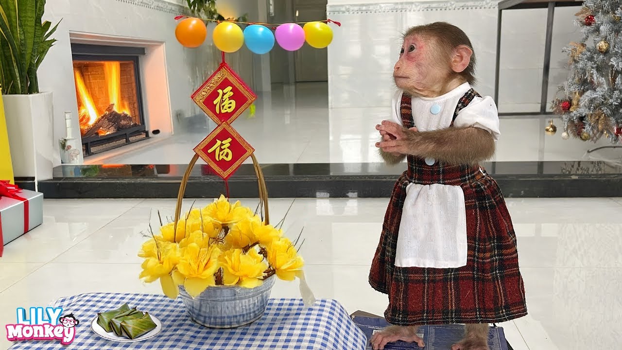 Amazing! Lily and Dad are already preparing something meaningful for the New Year | Lily's story