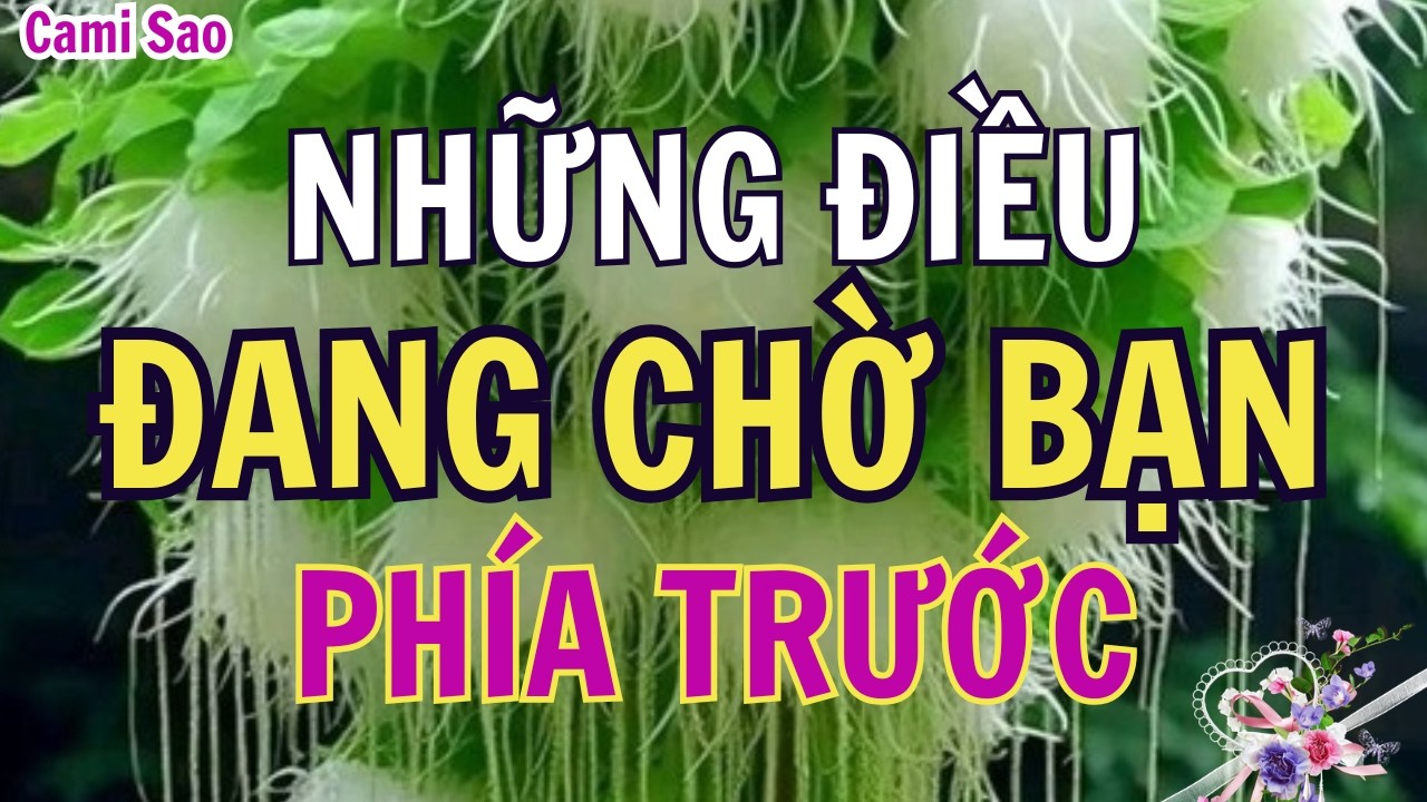Tarot | Những điều đang chờ đợi bạn trong thời gian sắp tới✨