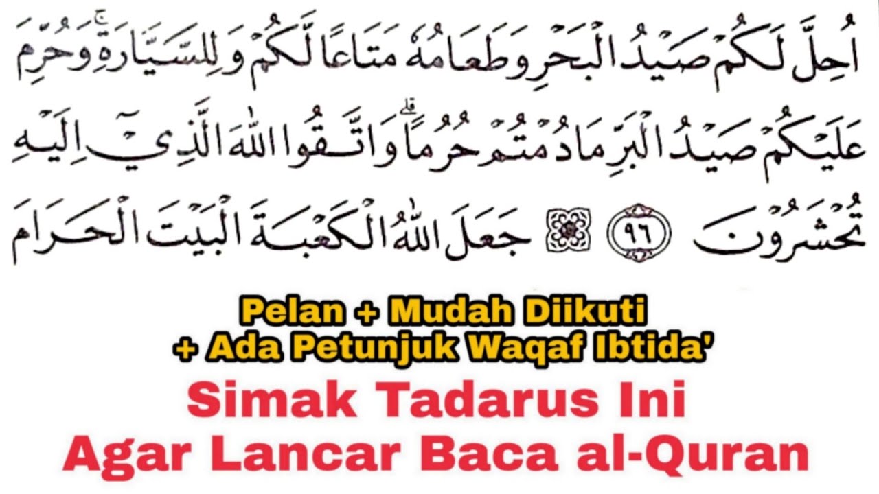 Tadarus Surat al-Maidah Ayat 96-108, Ada Tanda Warna Panjang & Dengung Agar Lancar Baca al-Quran