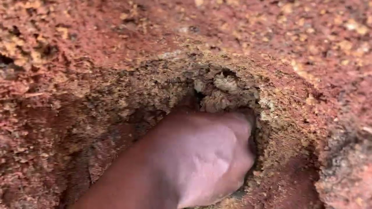 Adventure yam farming 