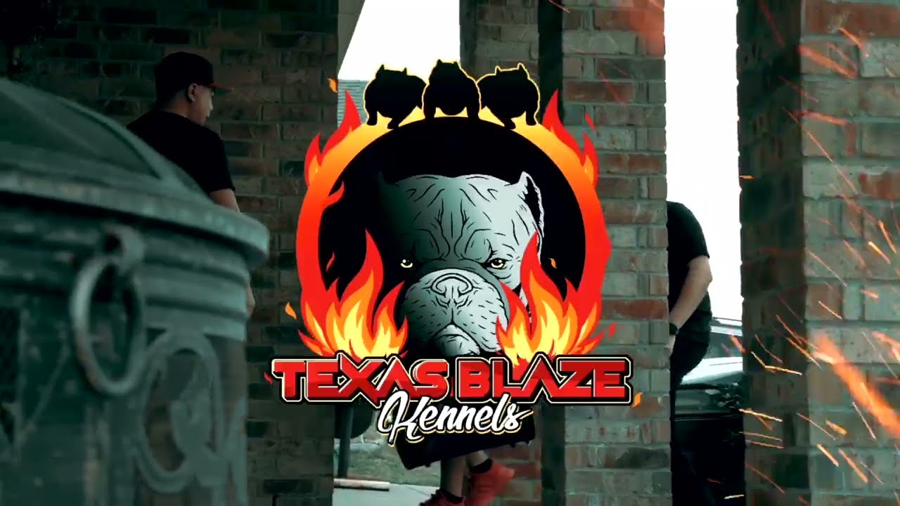 Texas Blaze Kennels Micro Exotic of the Year