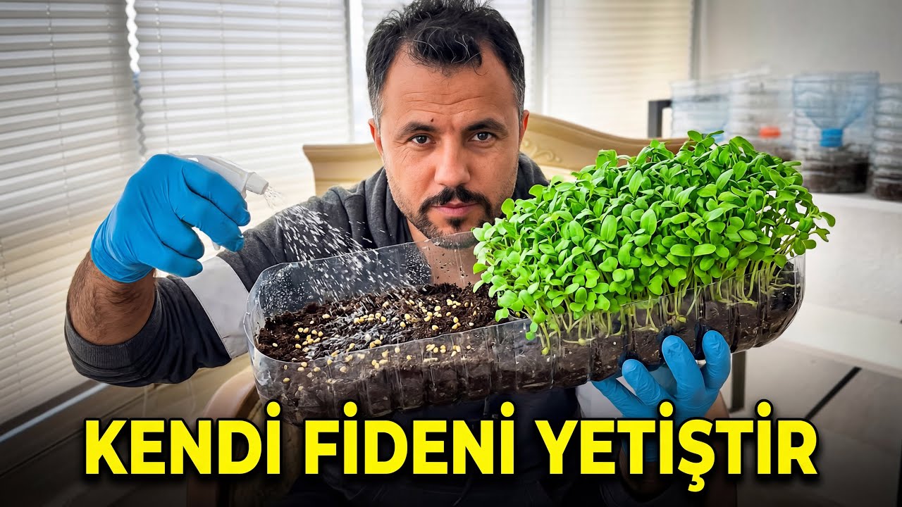Tohumlarım Neden Hızlı Çıkıyor? İşte Pet Şişe ile Kurduğum Sistem