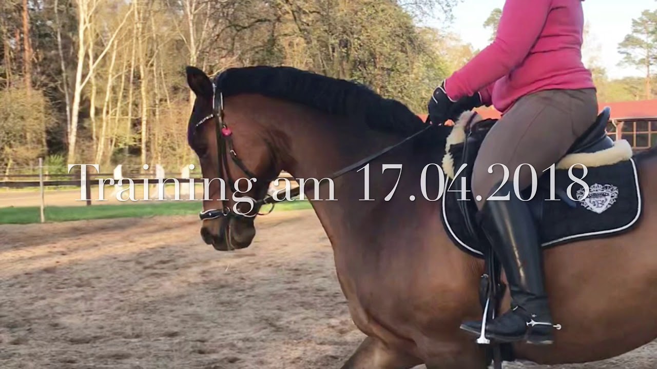 Dressurtraining am 17.04.2018