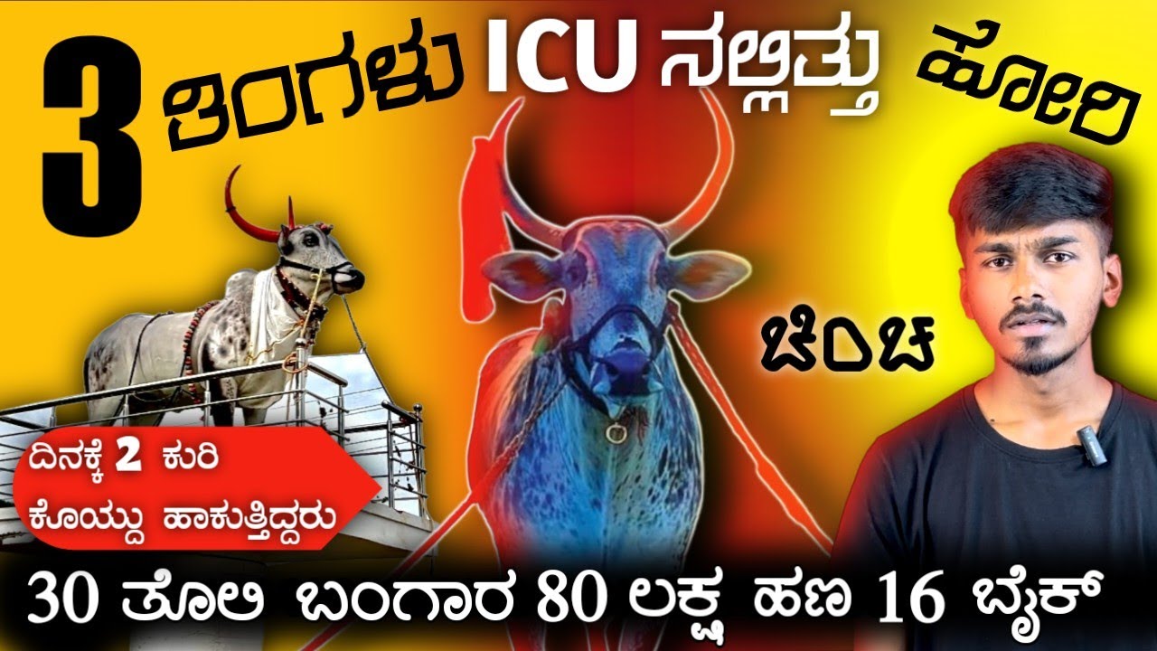 ಚಿಂಚ ತೆರಬಂಡಿ ಲೋಕದ ಸೋಲಿಲ್ಲದ ಸರ್ದಾರ || ಕರ್ನಾಟಕ ಕೇಸರಿ || SIMPLE SIDDU