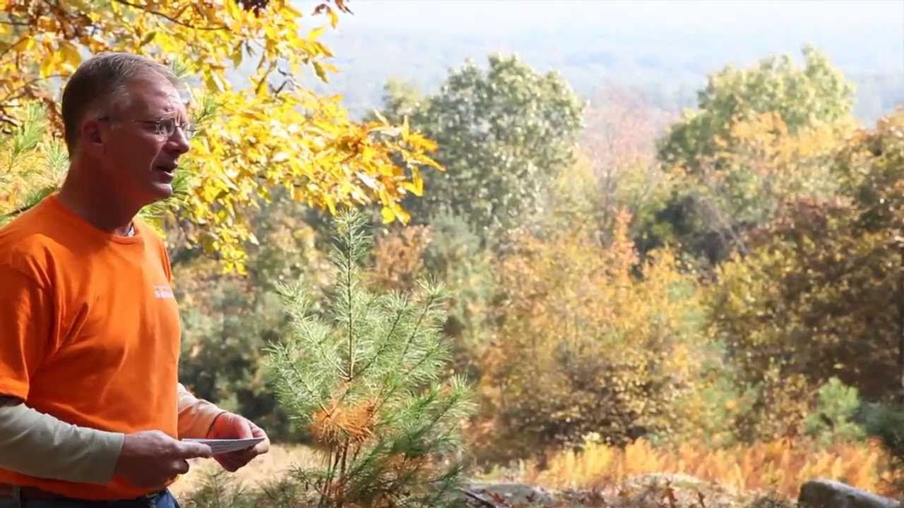 Woodland Management Tour and Talk - Hull Forest Products, Inc.