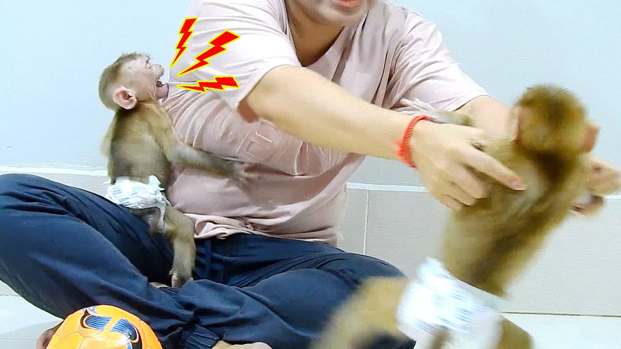 So Sorry MICHAEL! Mom Have To Pull You For Protecting POLEE.