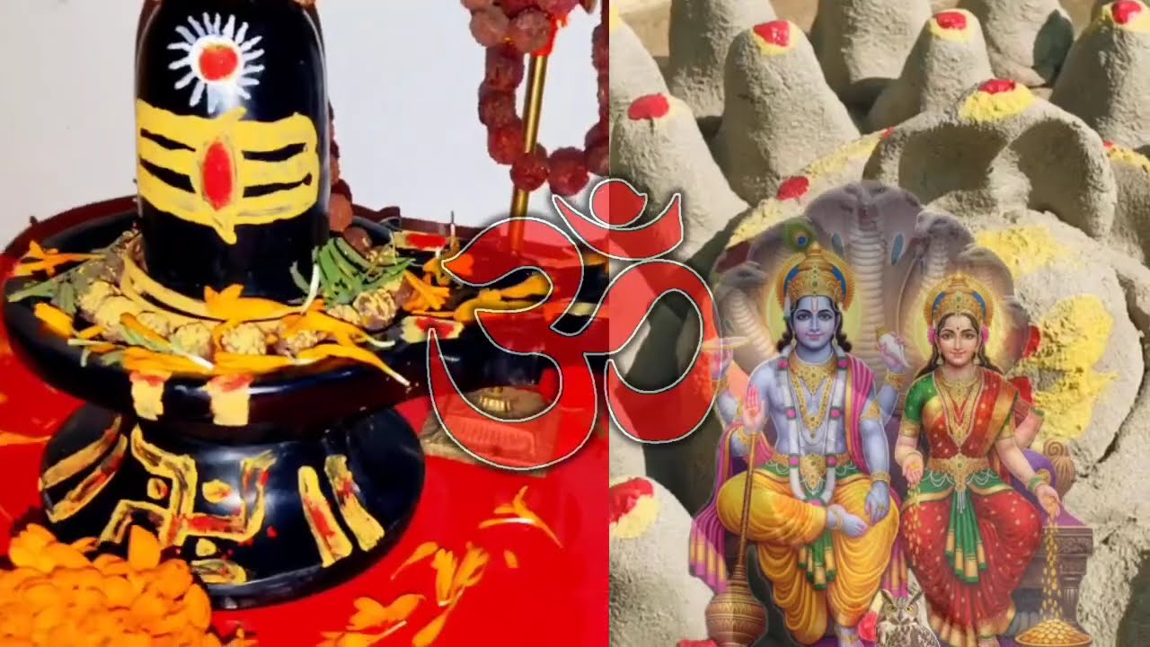 13 फरवरी शुक्रवार विजया एकादशी नियम एवं उपाय। चावल खाने के नियम।#ekadshi#pradeepmishra #upay