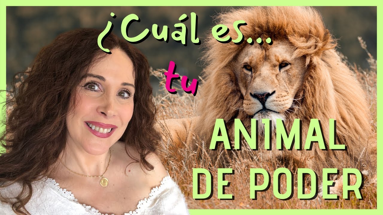 &iquest;Qu&eacute; son los animales de poder y c&oacute;mo nos ayudan?