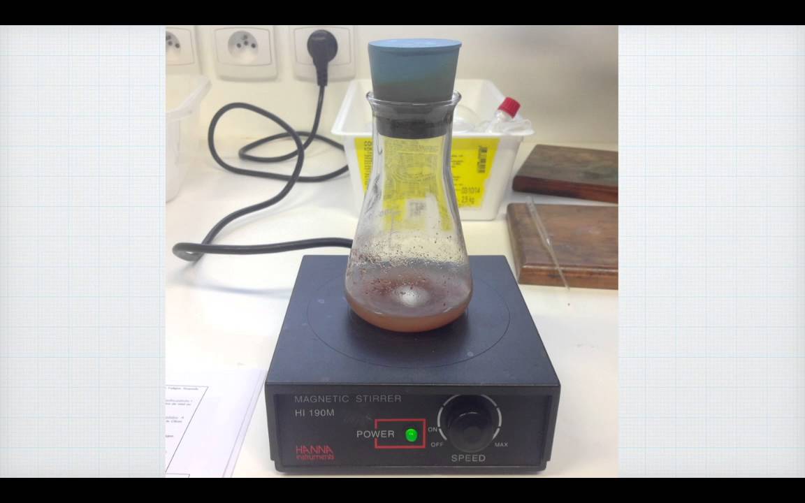 Mac&eacute;ration : une technique d'extraction