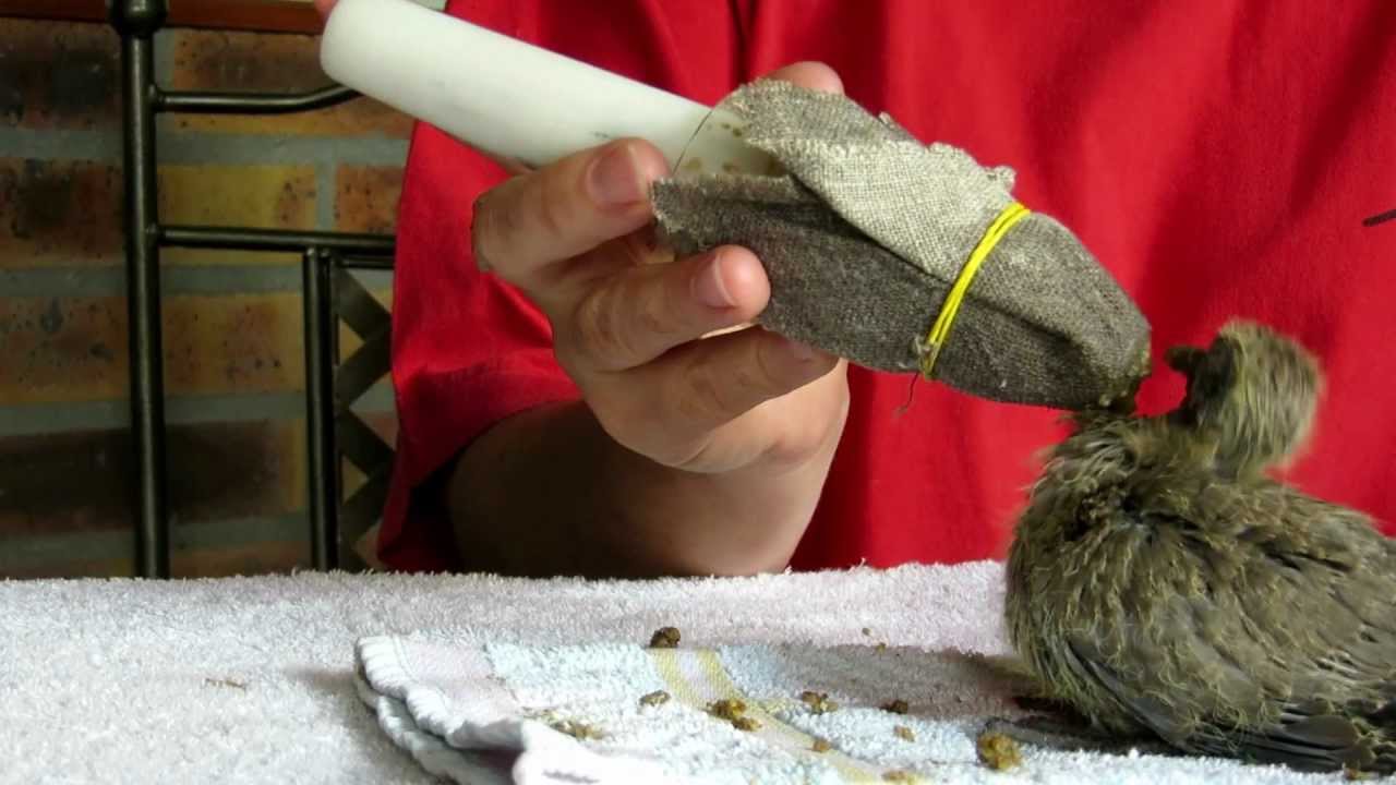 video 91 - 20120706
