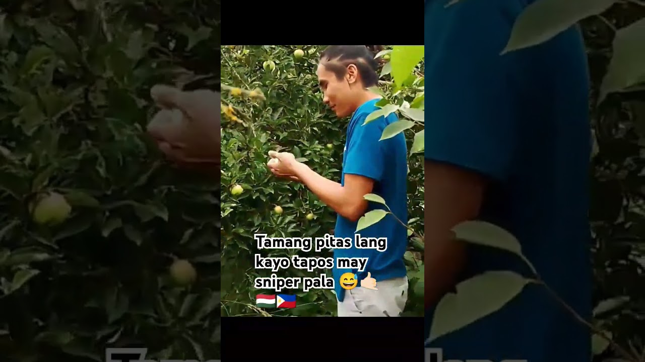 Apple picking with sniper sa Hungary 😅😁🤙🏻🇵🇭🇭🇺 #pinoyofw #ofw #viral #ofw #hungary #shortvideos