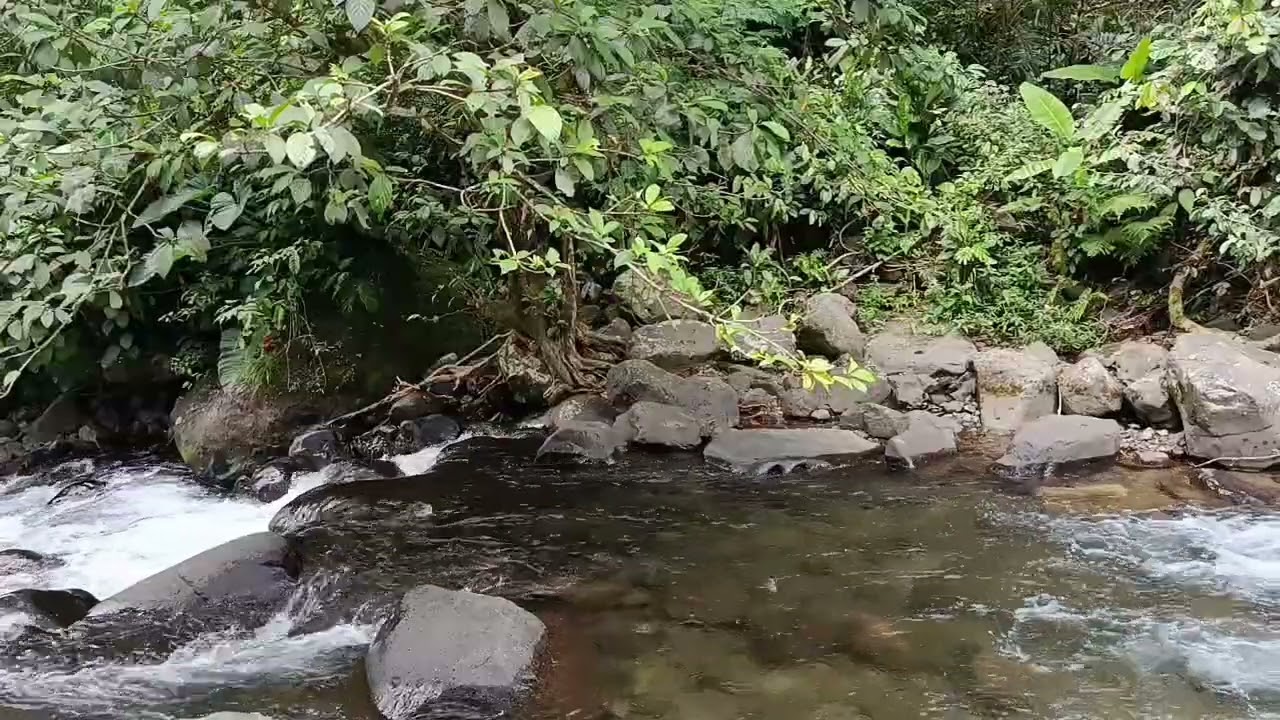  Crystal Clear Mountain River Naturally | Pure Relaxing River Sound