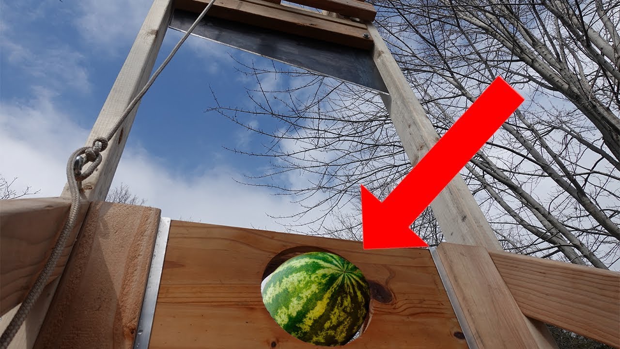 Guillotine vs  Watermelon