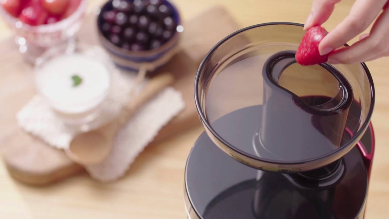 Strawberry and Blueberry Frozen Yogurt