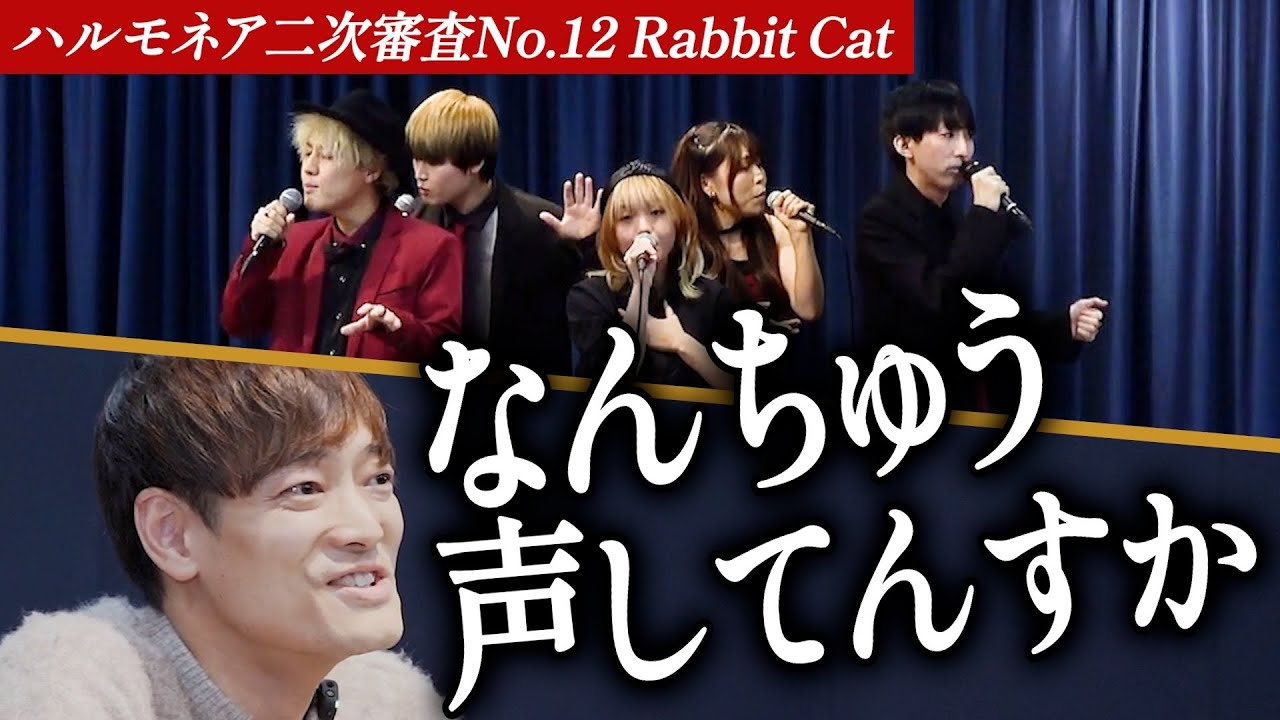 【Rabbit Cat】チャンネル登録者数27万人を誇るアカペラグループ。審査員が真の実力を見抜く。【第1回ハルモネア二次審査 Group No.12】