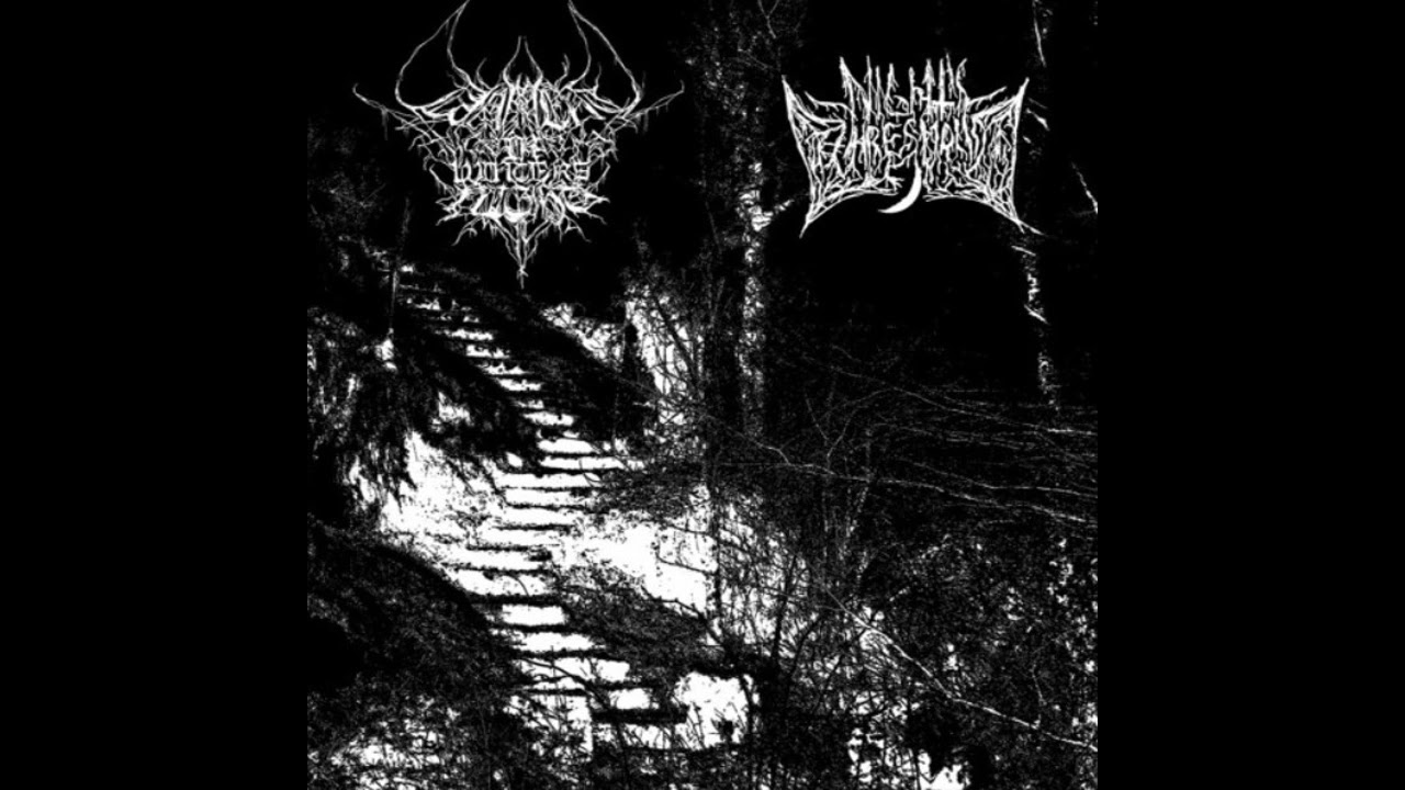 Lament in Winter's Night / Night's Threshold (Australia/US) - S/T (Split 2021)