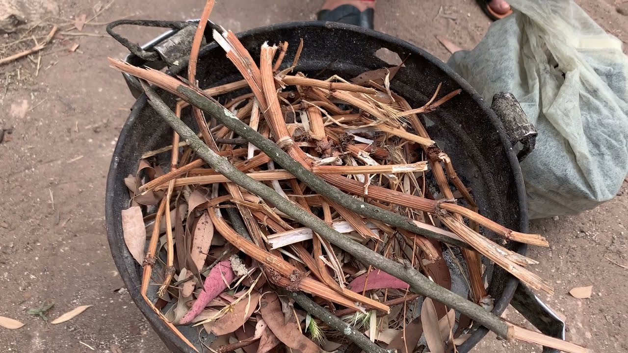 طلعة لغابة بوسكورة مع الأهل والاحباب🥰 بيجامات شي ان صدموني🤔 🤭