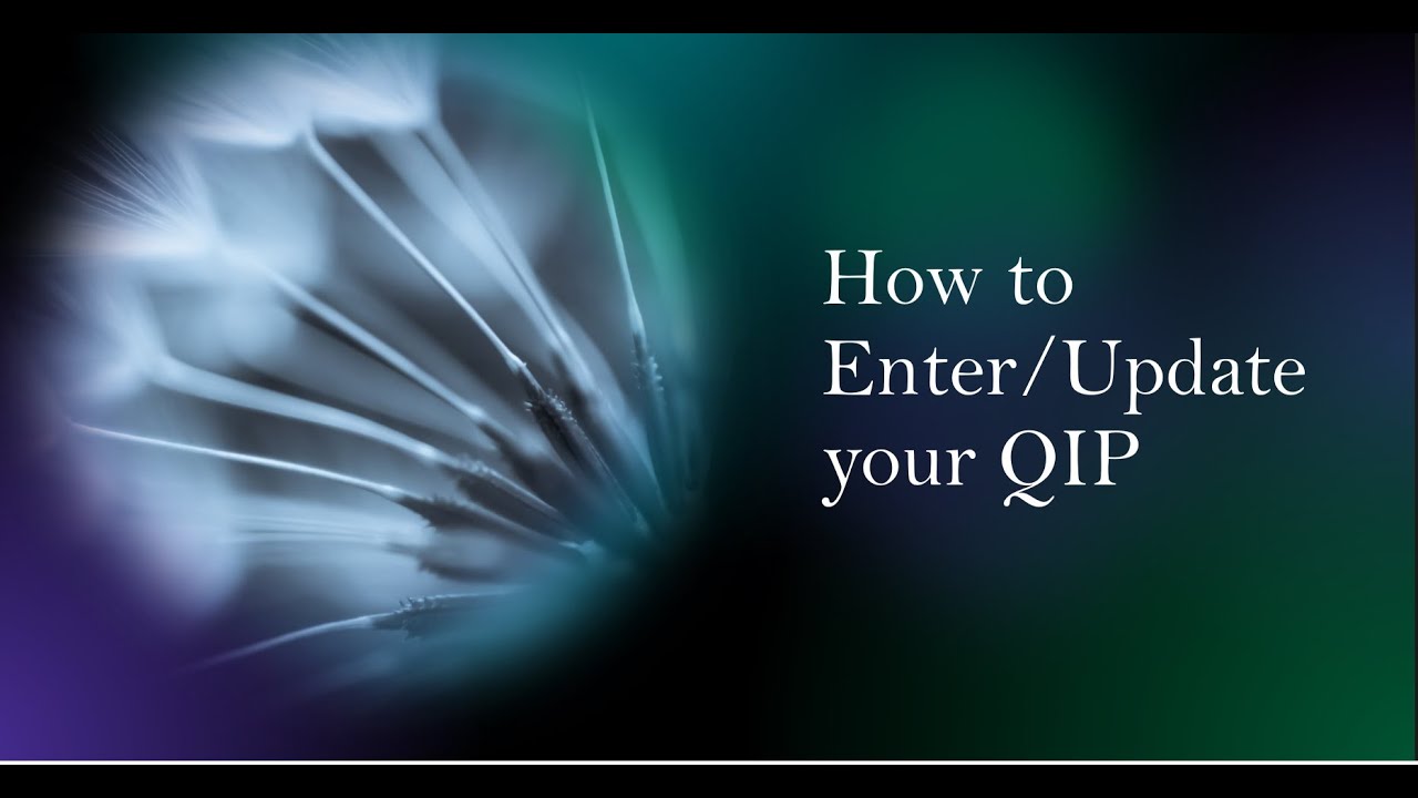 How to Enter/Update Your QIP Goals