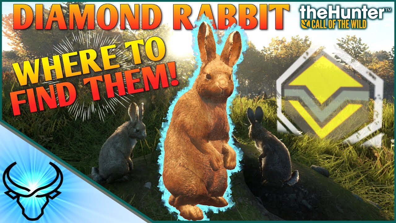 WE GOT ONE! Diamond European Rabbit & Where to Find Them! European Rabbit Guide | Call of the Wild