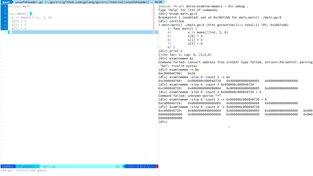 Using Delve to Examine Memory in Go