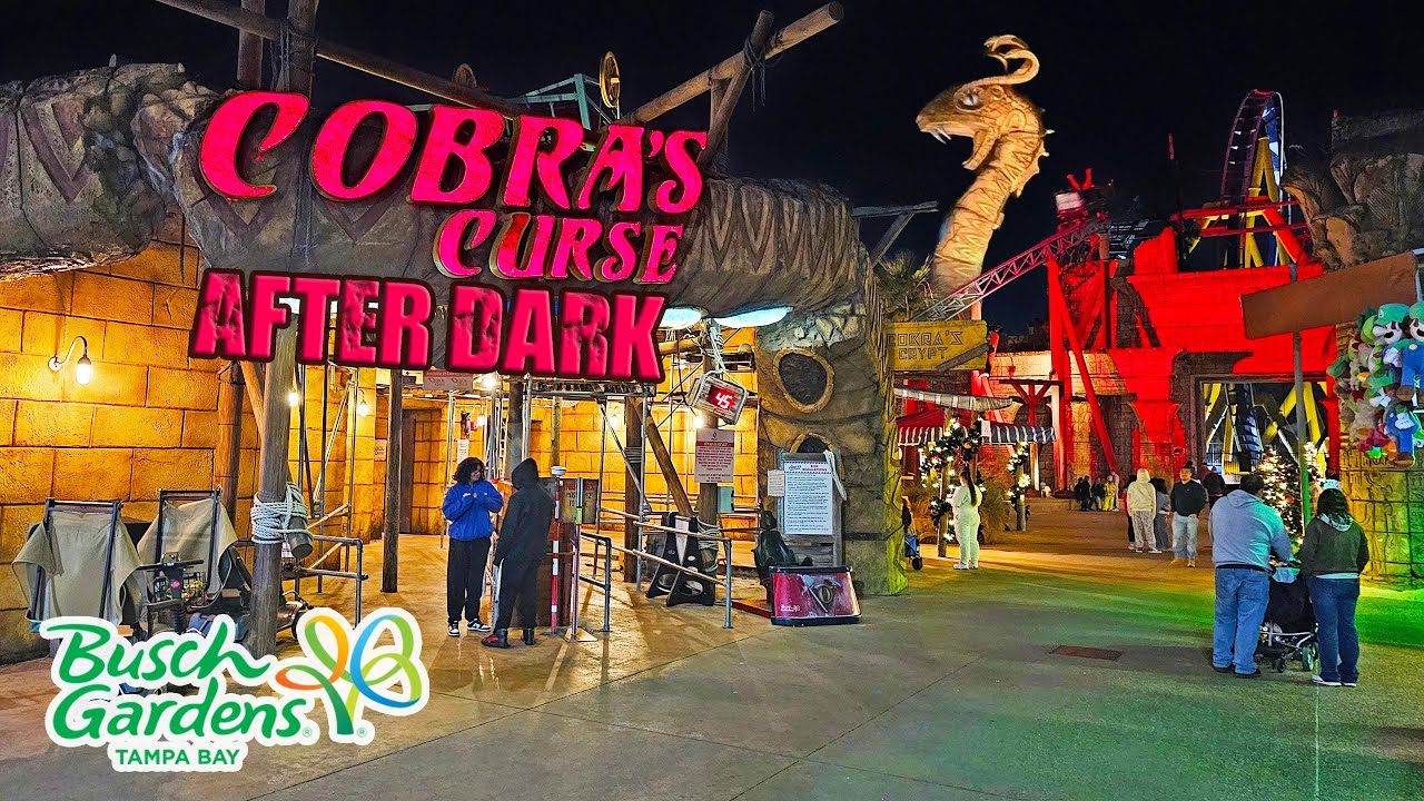 Ride Cobra's Curse After Dark at Busch Gardens Tampa Bay (Jan 2025) [4K]