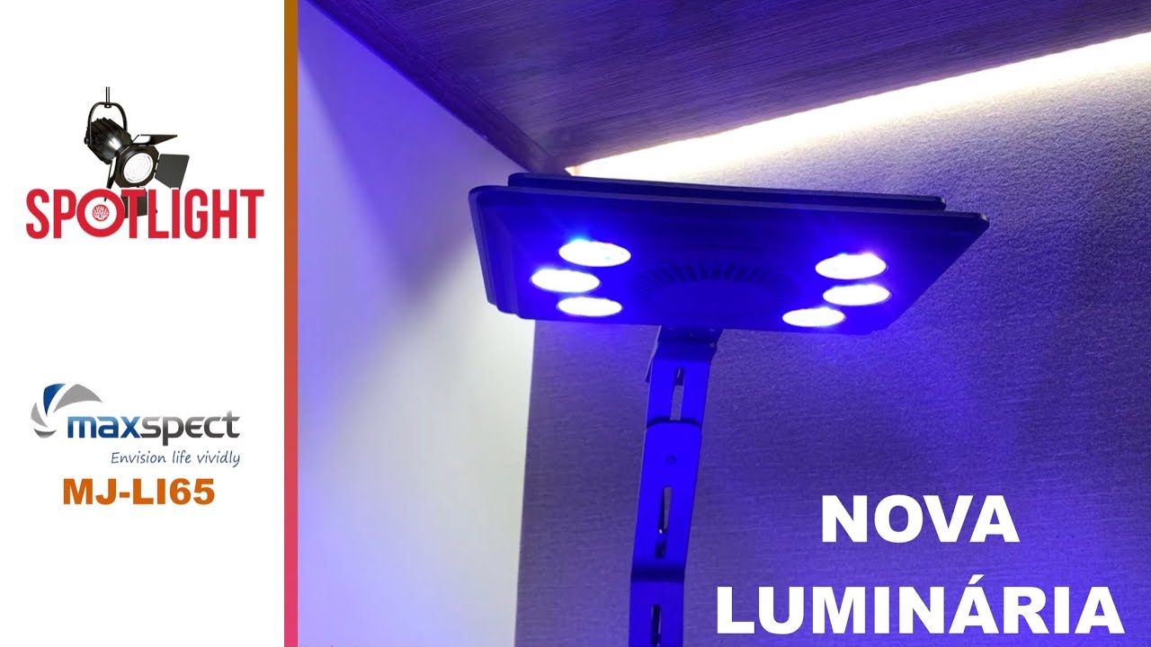 AQUÁRIO MARINHO - LUMINÁRIA MAXSPECT MJ L165