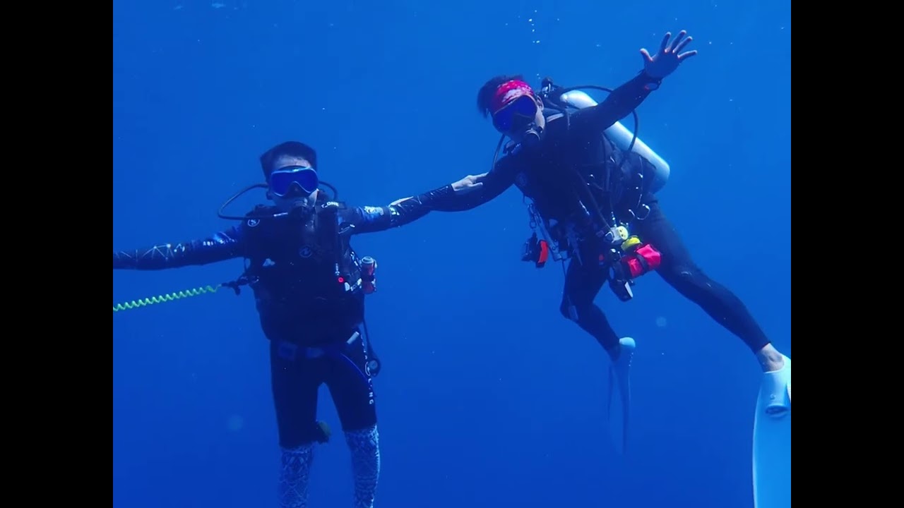20260111-18モルディブ🇲🇻フォームラ島🏝️タイガーシャーク🐯🦈
