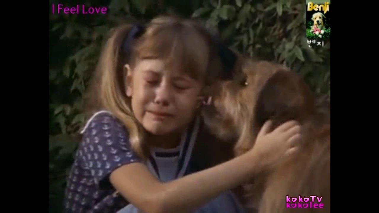 벤지 (BenJi) 1974 MV - I Feel Love  OST