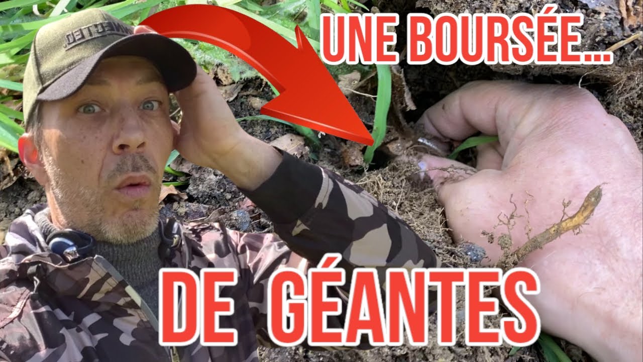 D&Eacute;TECTION DE M&Eacute;TAUX : BOURS&Eacute;E G&Eacute;ANTE AU D&Eacute;TECTEUR DE M&Eacute;TAUX