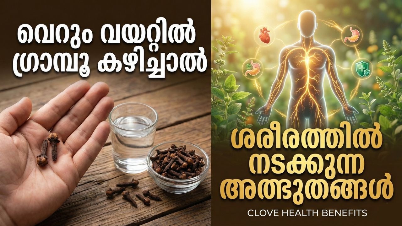 വെറും വയറ്റിൽ ഗ്രാമ്പൂ കഴിച്ചാൽ ശരീരത്തിൽ നടക്കുന്ന അത്ഭുതങ്ങൾ | Health Tips Malayalam