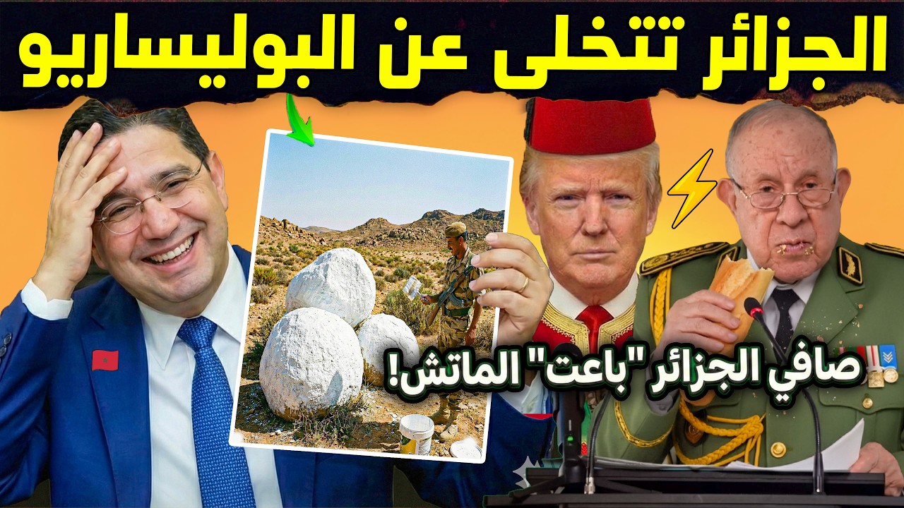 رسمياً.. الجزائر مستعدة تعترف بالصحراء المغربية بشرط.. 😨