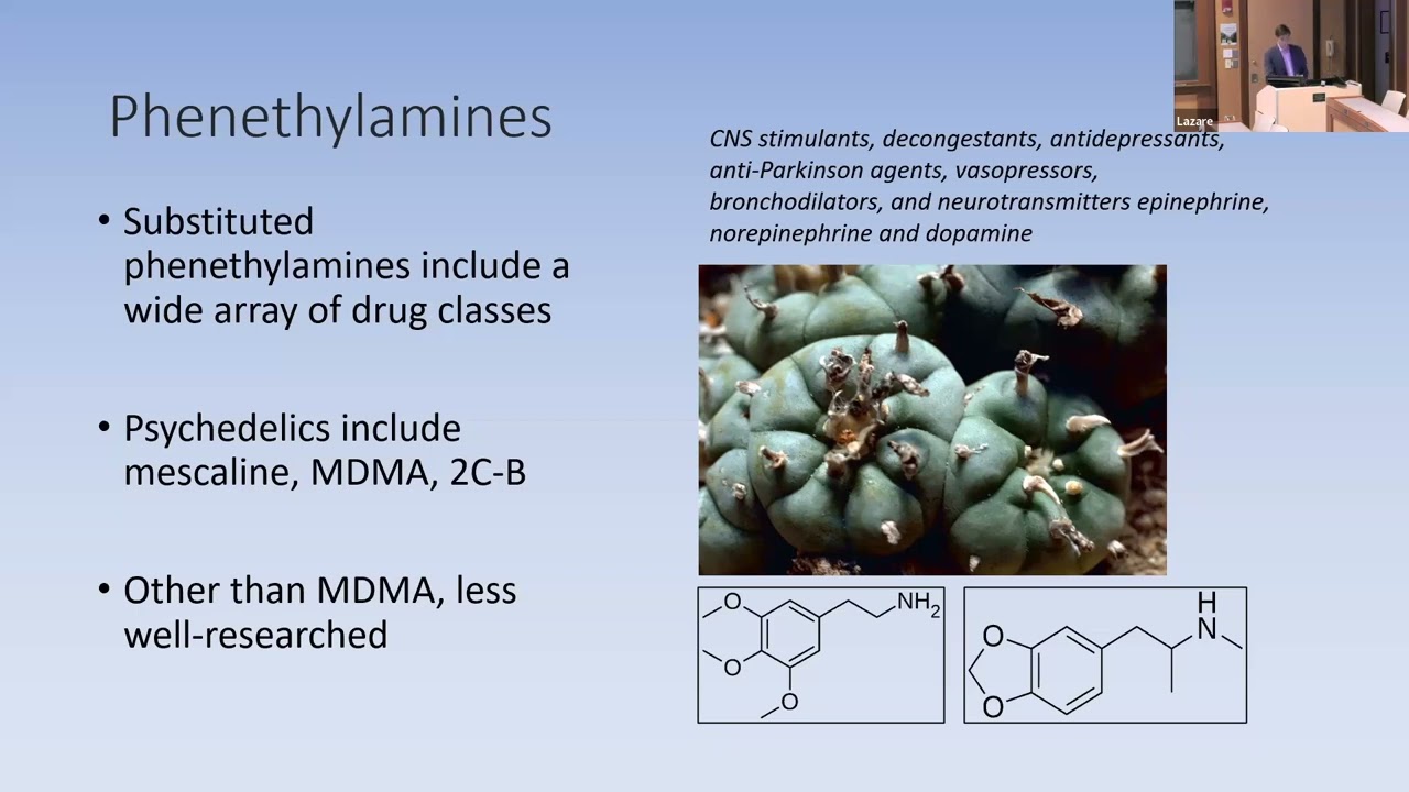 Psychedelic Medicine: After FDA Rejection, What’s Next? Presented by Franklin King, IV, M.D.