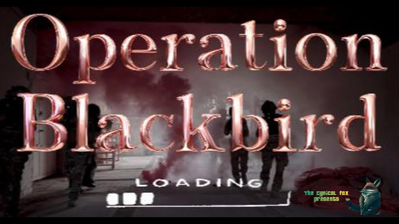 Uncovering Operation Blackbird: The UFO Mystery of the 1980s