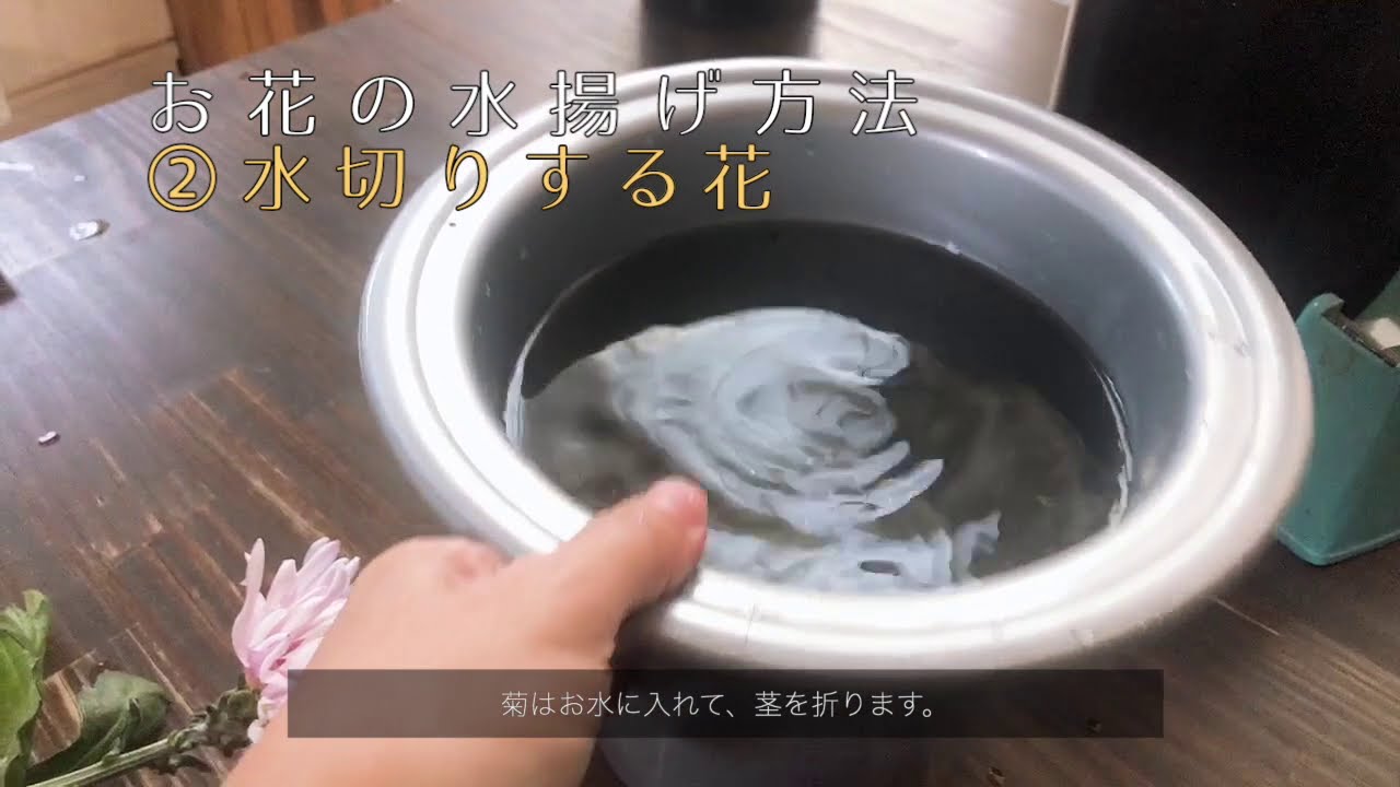 簡単！水揚げする方法をフラワーデザイナーが解説【おうちフラワー#16】