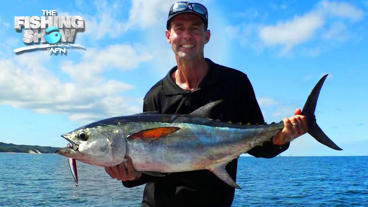 Brisbane Tuna in Moreton Bay