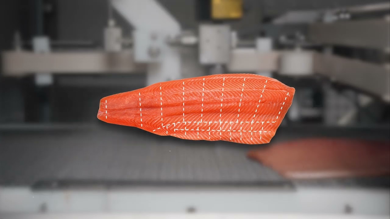 MARELEC PORTIO JET   Intelligent Waterjet Cutter fish poultry