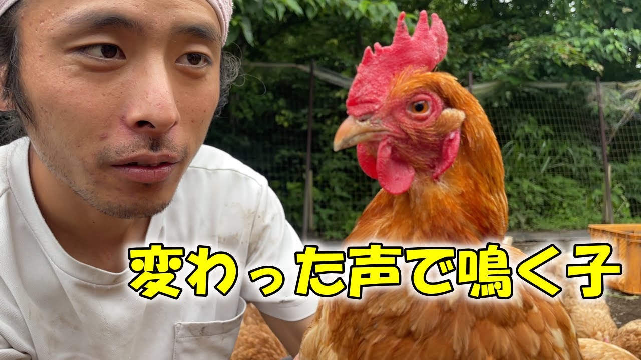 久しぶりの雑草食べる会をやっていたら、とある子の主張が強すぎて撮れ高を全部持っていかれました。